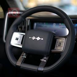 بي واي دي ليوبارد 5